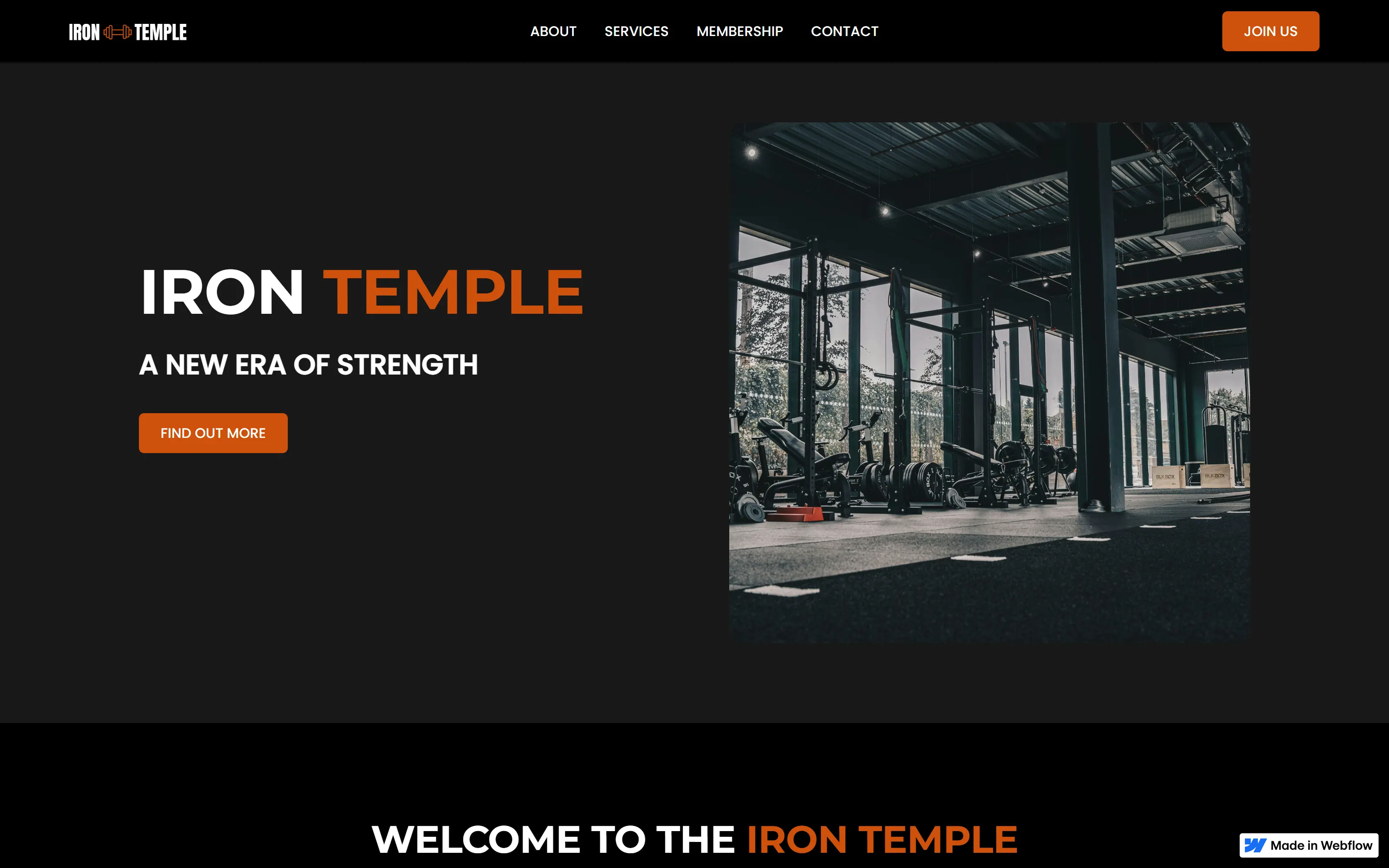 Iron Temple website screenshot